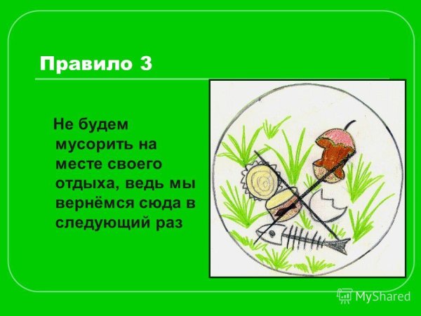 Знак не мусорить на природе