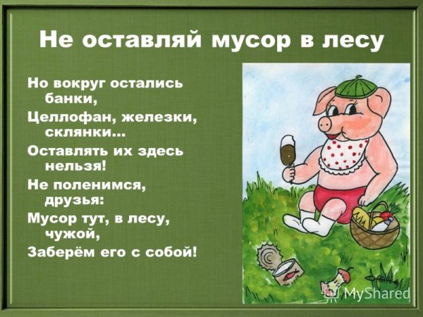 Не мусорить в лесу