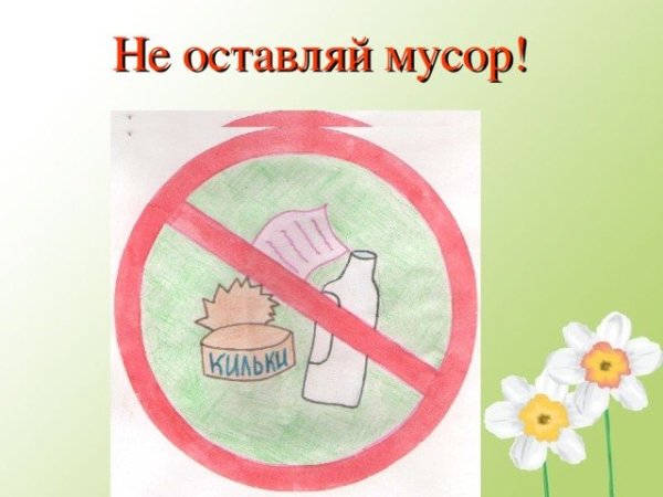 Не мусори в лесу