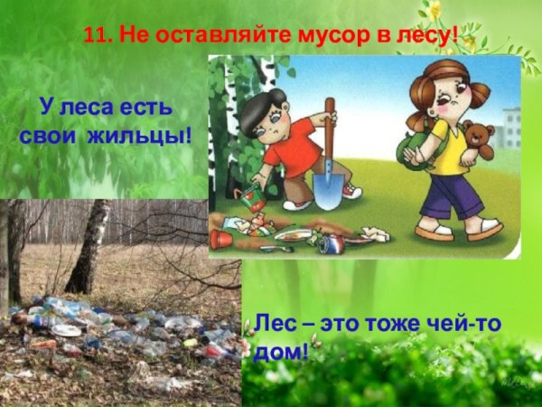 Знак в лесу сорить запрещено