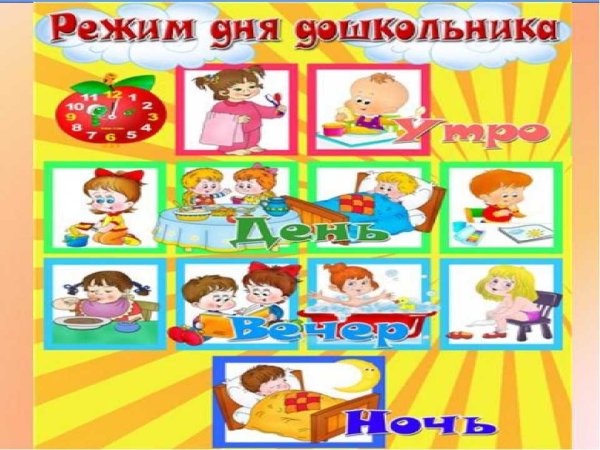 Распорядок дня