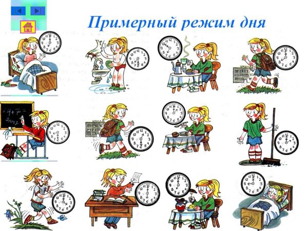 Распорядок дня школьника