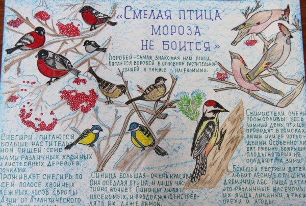 Газета ко Дню птиц