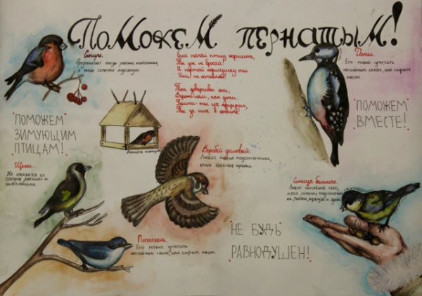 Плакат в защиту птиц