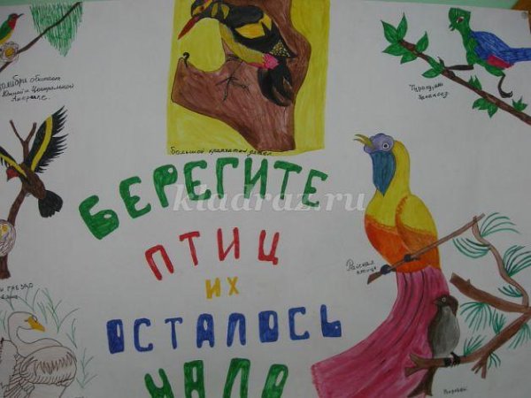 Плакат берегите птиц
