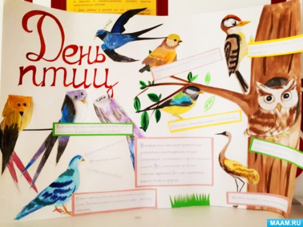 Плакат Покормите птиц