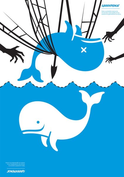 Мир воды рисунки