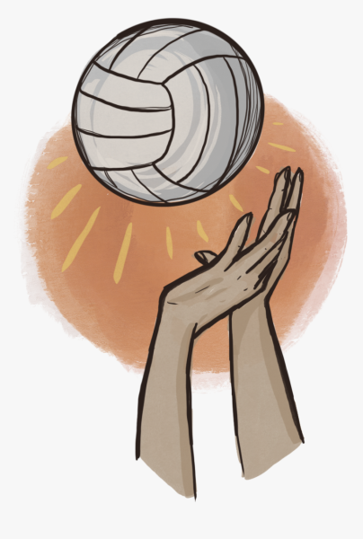 Волейбольный мяч арт
