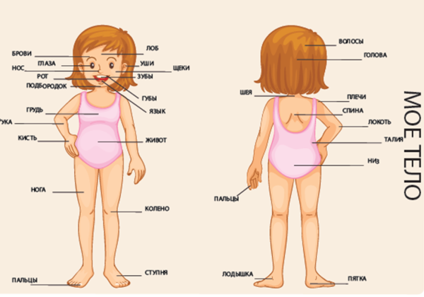 My body плакат