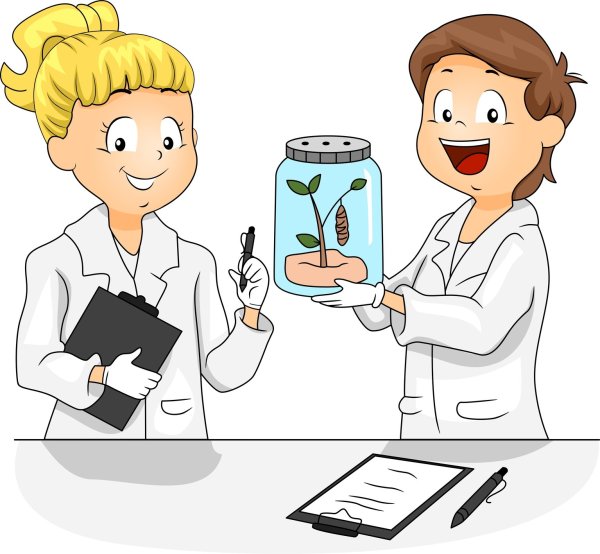 Профессия эколог раскраска