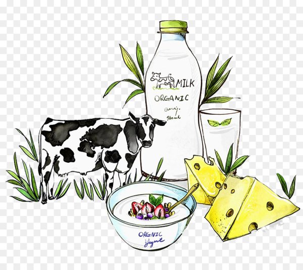 Рисунки на тему молочная продукция