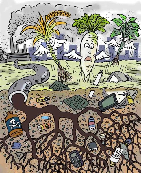 Почвенное загрязнение