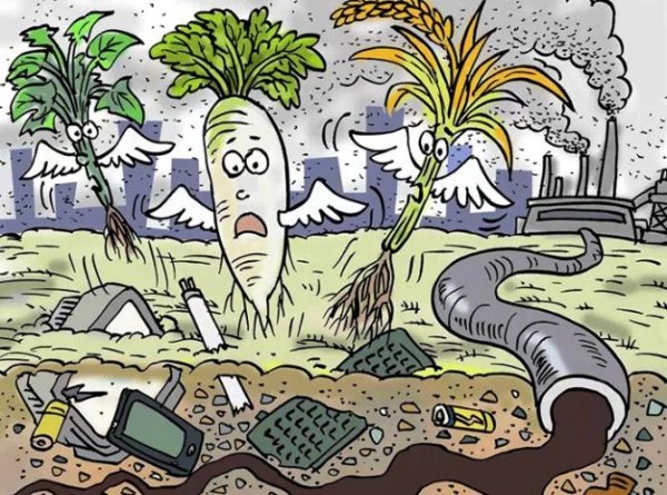 Загрязнение окружающей среды почвы