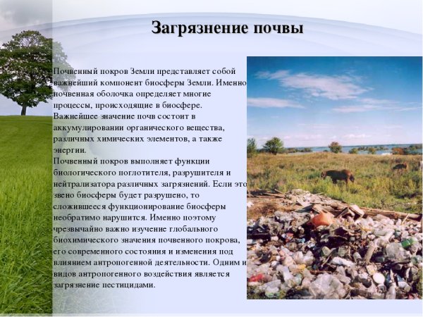 Экология раскраска