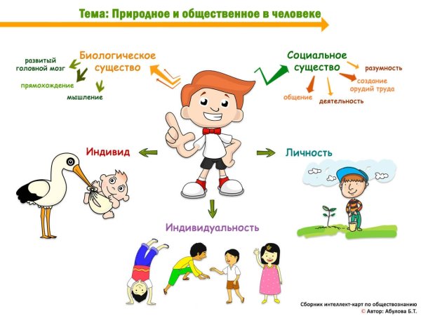 Интеллект карта человек личность