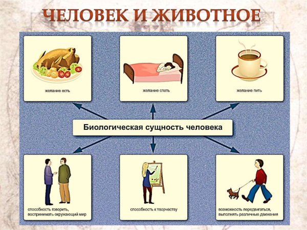 Схема на тему человек личность