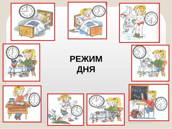 Распорядок дня иллюстрация