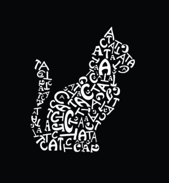 Композиция из шрифтов