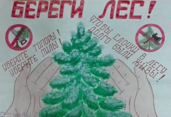 Листовки в защиту елок