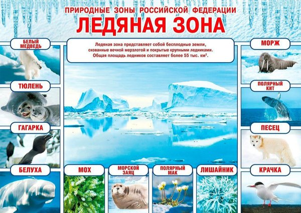 Природные зоны России