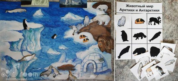 Арктика и Антарктида для детей