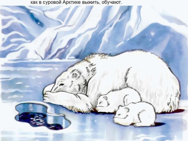 Арктические пустыни рисунок