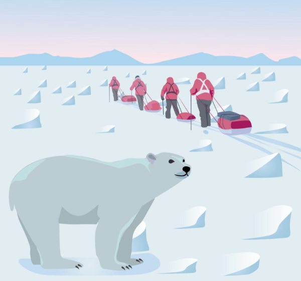 Экспедиция в арктической пустыне