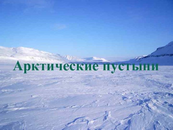 Природная зона арктических пустынь