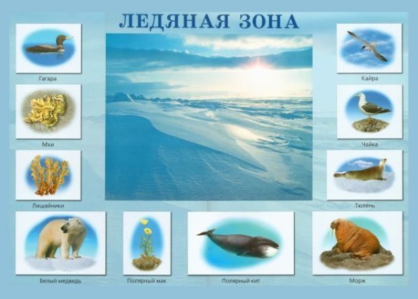 Природные зоны для дошкольников