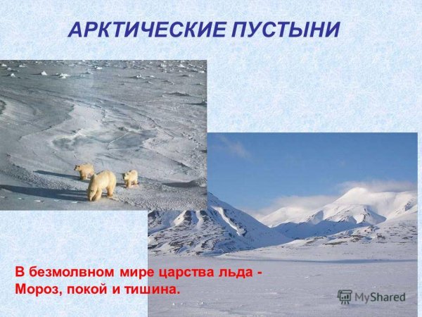 Презентация на тему арктические пустыни