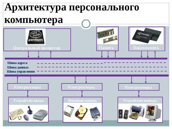 Архитектура ПК устройства ввода-вывода