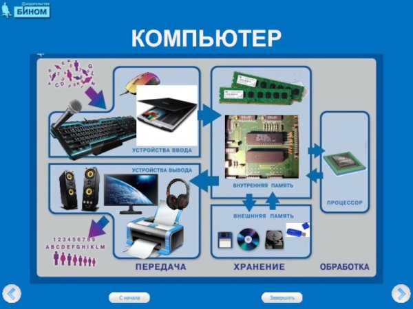 Плакаты по информатике