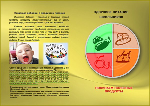 Пищевые добавки в продуктах питания