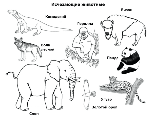 Рисунки исчезающих животных