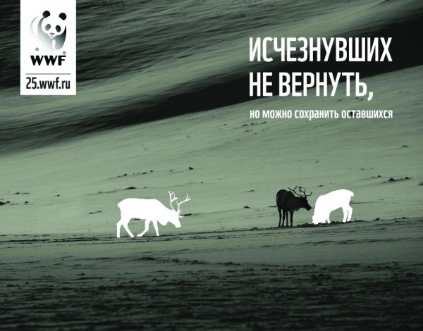 Социальные плакаты WWF