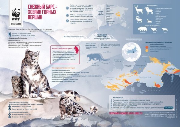 Ареал обитания ирбиса в России