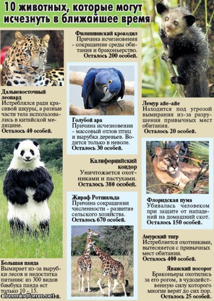 Брошюра по защите животных