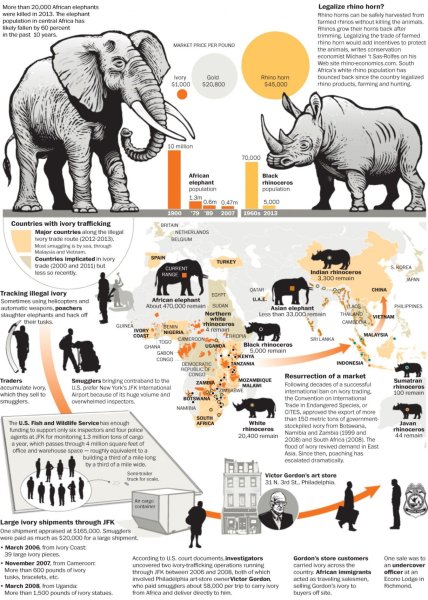 Вымирающие животные инфографика