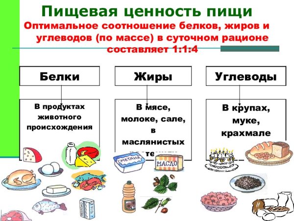 5 Правил гигиены питания