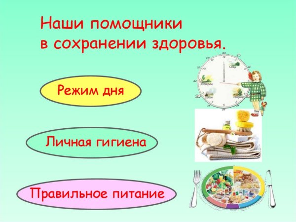 Режим питания гигиена питания