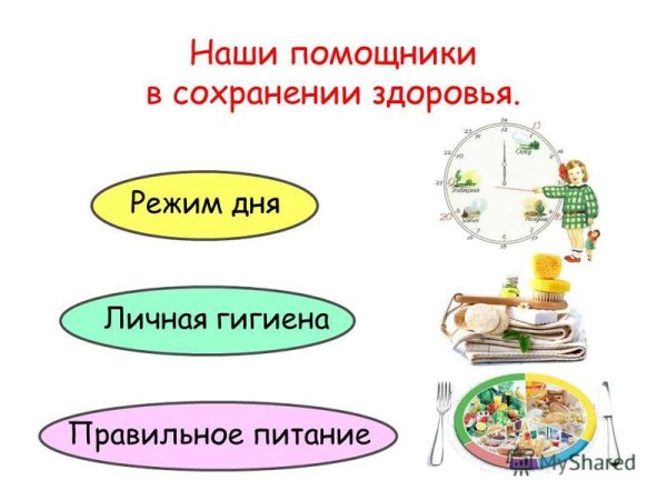 Режим питания гигиена