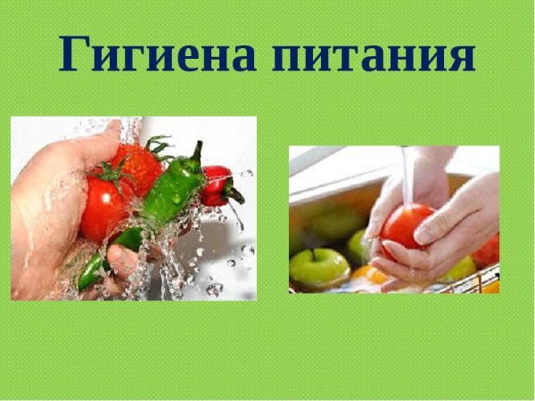 Основы гигиены питания