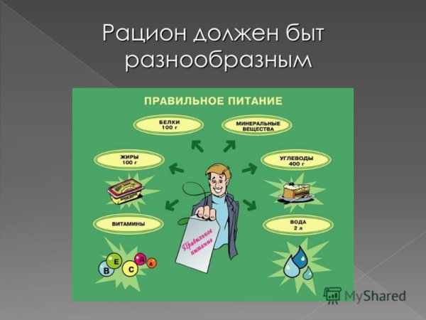 Памятка гигиена питания