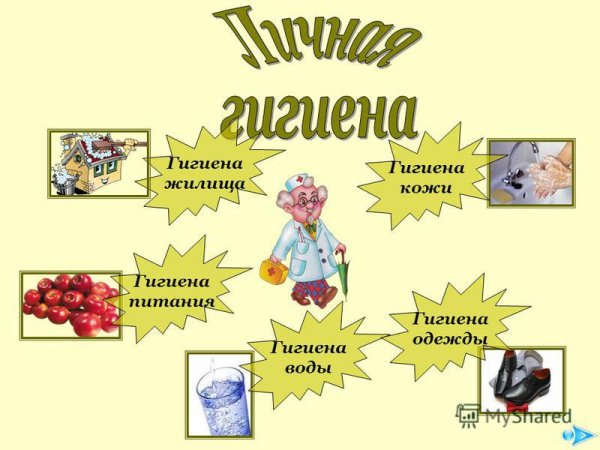 Личная гигиена питания