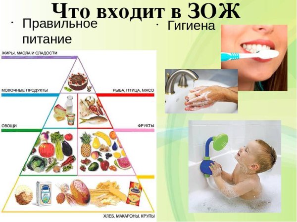 Гигиена питания и воды