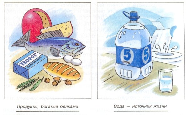 Правила гигиены питания