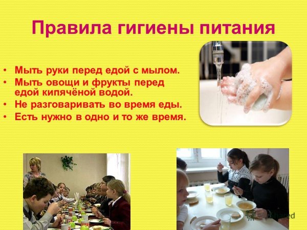 Режим питания питания нормы гигиена