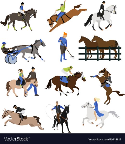 Атрибуты конного спорта