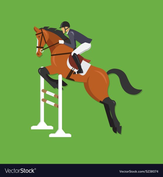 Лошадь с наездником на белом фоне