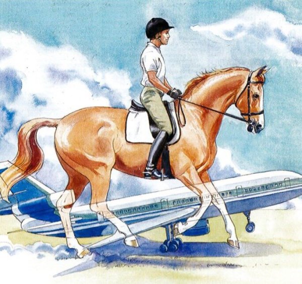 Конный спорт значок